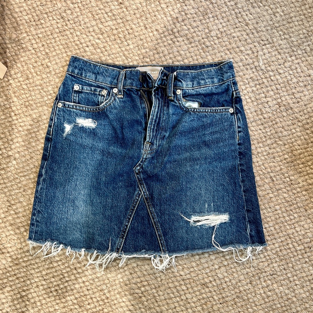 Everlane Blue Distressed Mini Skirt
